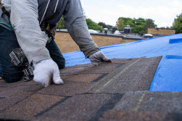 Best Roof Gutter Cleaning  in Farm Loop, AK