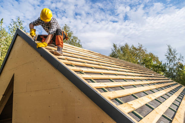 Best Metal Roofing Contractor  in Farm Loop, AK